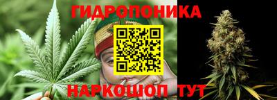 ГАЛЛЮЦИНОГЕННЫЕ ГРИБЫ Обь