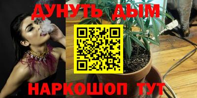 ГАЛЛЮЦИНОГЕННЫЕ ГРИБЫ Обь