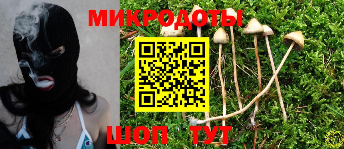 Псилоцибиновые грибы мицелий Сухой Лог